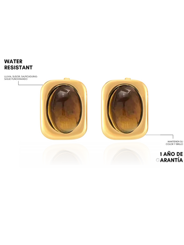 eye tiger - gold earrings